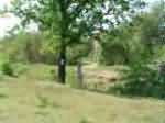 DSCF0034.JPG